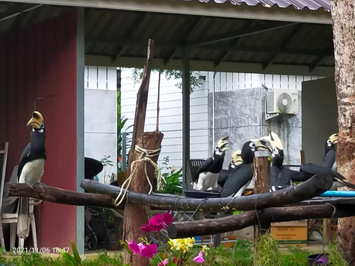 Eco Bungalow パヤム島 エクステリア 写真
