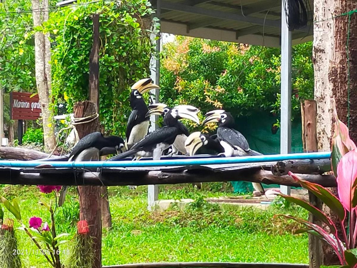 Eco Bungalow パヤム島 エクステリア 写真