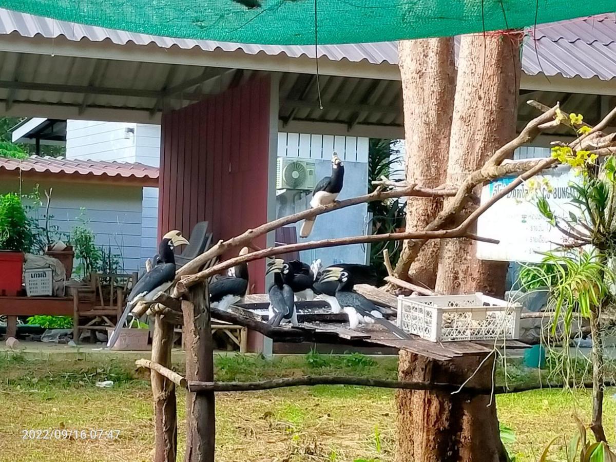 Eco Bungalow パヤム島 エクステリア 写真