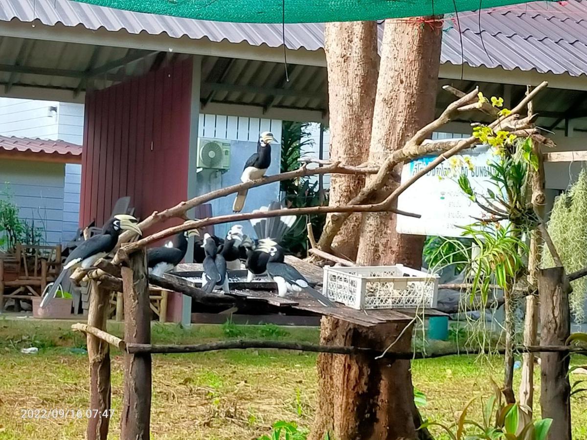 Eco Bungalow パヤム島 エクステリア 写真