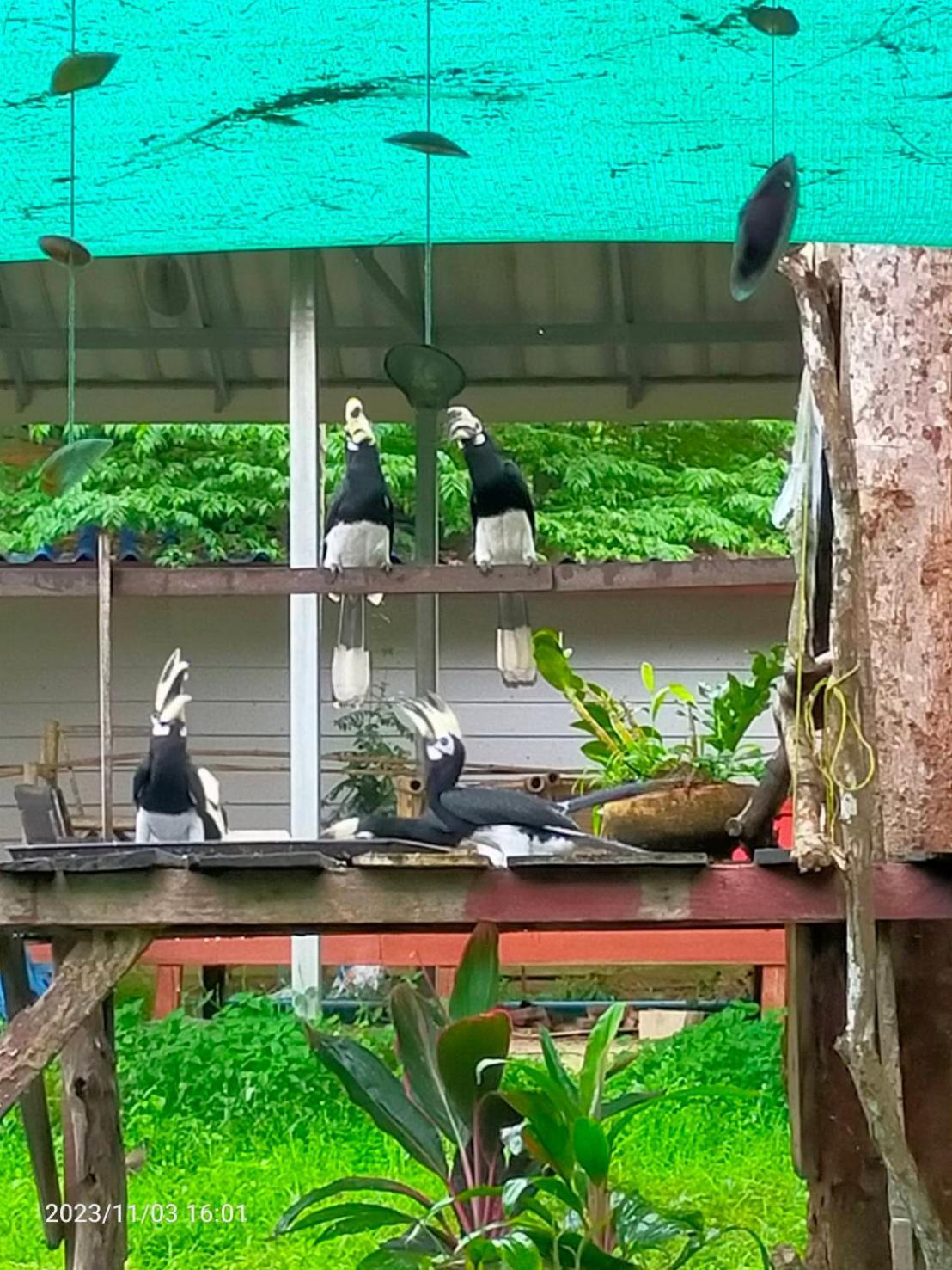 Eco Bungalow パヤム島 エクステリア 写真